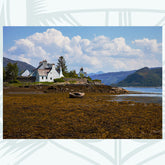 Plokton - Photographic Print - Amy Davidson